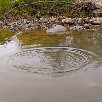 ronds dans l'eau