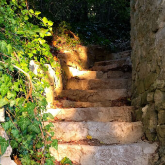Escaliers au soleil
