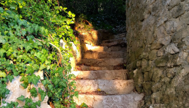 Escaliers au soleil