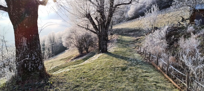 Les Arnaud sous la neige